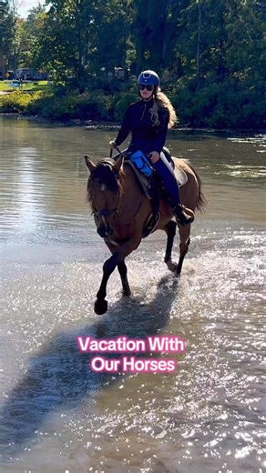 Vacation With The Horses! 🐴 | Free Spirit Equestrian