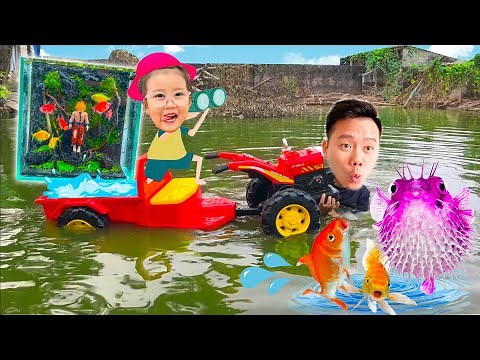 Changcady ra đồng bắt con cá, con cua - thi trang trí bể cá cảnh siêu ngầu