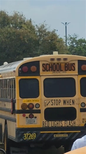 2007 Blue Bird Vision #37269