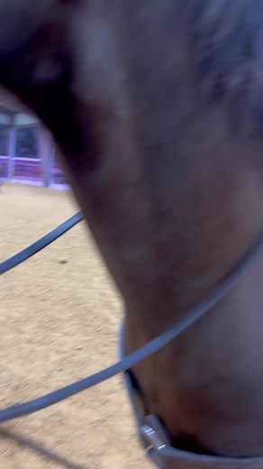 Coleman Proctor, are you ready? X Factor Roping match is moments away. | The Clay Logan Open