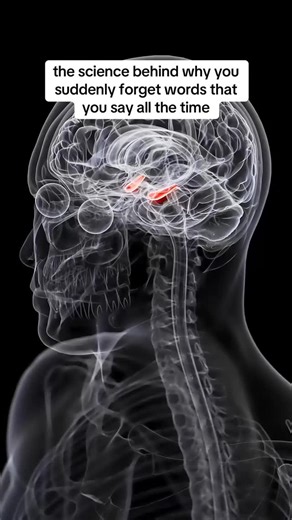 Somatic Exercises with Liz Tenuto on Instagram: "how long-term stress and trauma reshape your memory 👇🏼 trauma impacts your brain, making memories fragmented and unreliable 🥹 prolonged exposure to stress / trauma leads to a reduction in your hippocampus… which is the part of your brain responsible for learning, memory, and regulating emotions 🤯 this leads to difficulties forming new memories or retrieving existing ones 😮‍💨 you might notice that trauma is impacting your memory if you’re dea