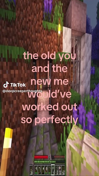 Exploring Changes: Old You vs New Me in Minecraft