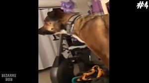 3.1K views · 57 reactions | Scary Comp. V86 | Horror stories | Facebook