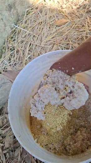 Pig Feed Formula High Protein #pig #pigfeed