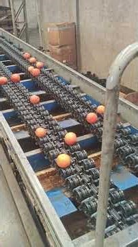 8.- Grapefruit Sporting Machine 170426 #farming #machine #factory