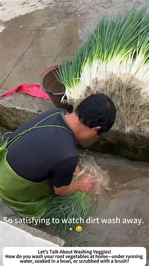 Washing Freshly Picked Onions – Clean Veggies Start Here 🧅💧