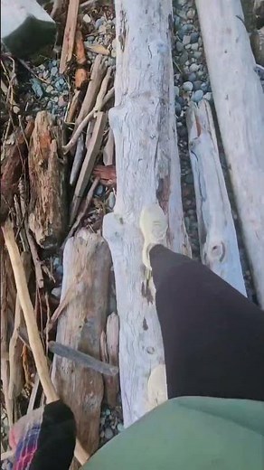 log runner aka irl subway surfers #subwaysurfers