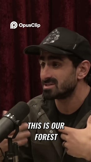 Amazon Loggers & Narcos Fight to Keep Forest Wild!