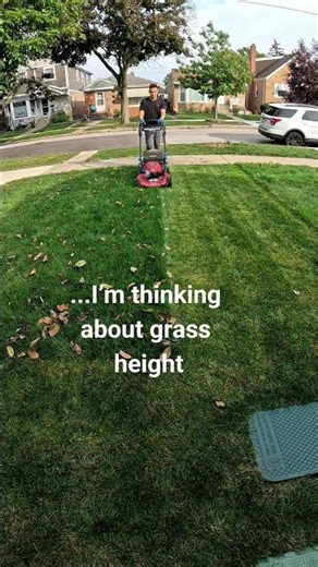 STOP skipping your fall mow 👀 Your spring grass depends on it.Yes, it’s still mow season 🍂 #FallMow