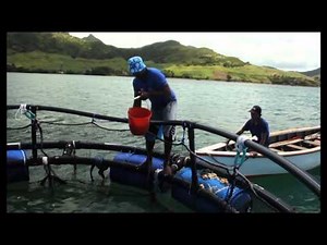 Mariculture - Smartfish IOC (English)