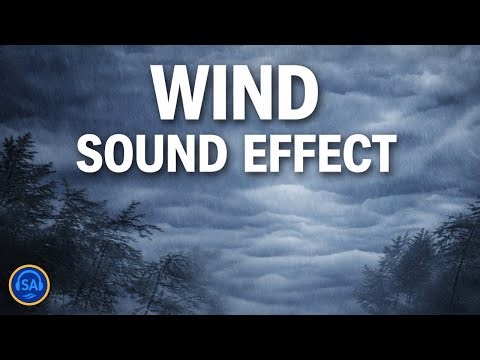 🌬️ Wind Ambience Sound – Calm Natural Wind Noise for Sleep & Relaxation (1 Hour)