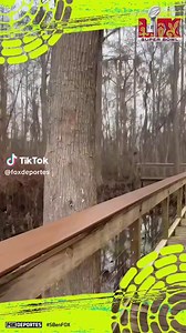 Explore the hidden gems of New Orleans with Cajun Encounters city bus tours. Spots are filling fast for spring! ⏳🌺 | Cajun Encounters Tour Company