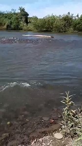 Voy a ver tu nombre y el mío en la piedra que más te gustaba la grave a CONCEL Y A MARTILLO pa que nadie lo borrara!!! | Andrés Araujo y su Ranchero al 100