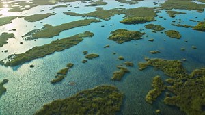 1.2K views · 44 reactions | Greater Miami, AKA Miamiland, has an adventure for everyone. Celebrate National Park Week (and Miami Attraction & Museum Months) by exploring coastal waters, coral reefs, endless expanses of marsh and sawgrass, and amazing night skies at our National Parks 鸞 Learn more and plan your escape today: https://bit.ly/32bxdhP | Visit Miami | Facebook