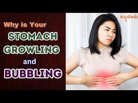 Why is Your Stomach Growling and Bubbling?
