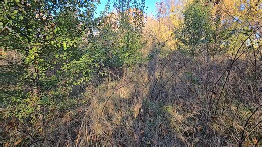 What piece of equipment are you using to tackle this? | Cameron Duncan