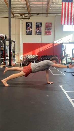 Tall-Plank Bird Dogs