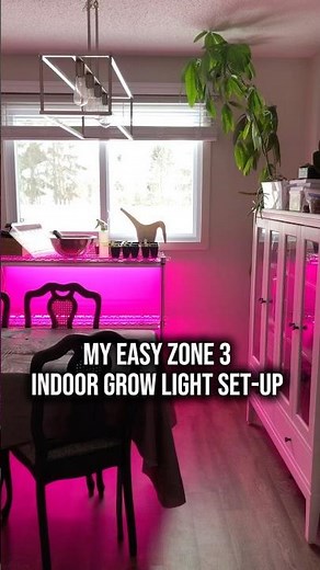 Here’s my grow light setup for starting seeds indoors. #indoorgardening #growlights #zone3