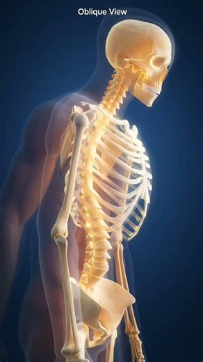 X-Ray Positioning Explained | AP, PA, Lateral & Oblique Views (Radiology Basics)#XrayPositioning#Ra