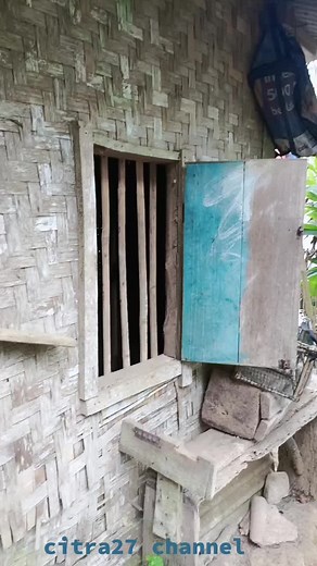 asalamualaikum semua... 🙏🙏