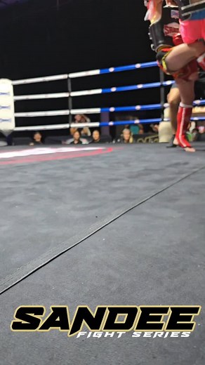 Sandee Fight Series Barnsley Metrodome November 8th we go again with Adults & Juniors. Taking names now. WMF #1 Ranking title bouts. European opposition attending. Card building well and not many better settings or production levels . | Sandee Fight Series