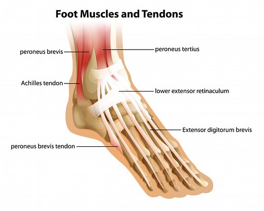 Top 5 Exercises to Rehab Achilles Tendinitis - BuiltLean