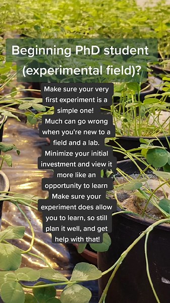 Make sure your first experiment is a relatively simple one. Do not start with a massive, complex setup. You will thank yourself for this later! #phdlife #phd #phdstudent #graduatestudent #gradstudent #doctoralstudent #experiment #phdadvice