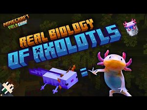 The Real Biology Behind Minecraft's Axolotls