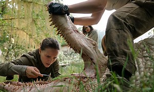 Review: Annihilation is Netflix's most ambitious and haunting movie to date - Cinema, Movie, Film Review  - Entertainment.ie