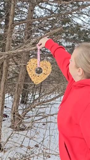Michelle - Crafty Morning ❤ on Instagram: "Use a heart cake pan (linked in my shop) and mason jar to make a heart birdfeeder!💗Melt 1 cup coconut oil + add 3 cups bird seed. Spray the pan then spray the jar and put in the center. Let harden 3 hours then take out and add a string! #valentine #birdfeeders #birdlovers #birdfeedertok #diy"