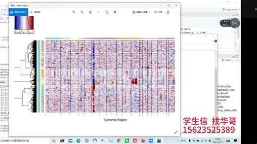 19.CNV拷贝数变异分析