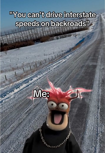 Funny Truck Driver Life Memes for TikTok Enthusiasts