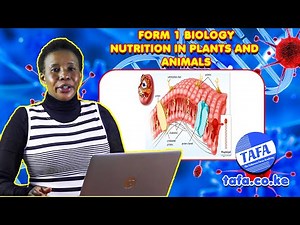 FORM 1 BIOLOGY - NUTRITION IN PLANTS AND ANIMALS - THE ACHIEVERS FOCUS ACADEMY (TAFA)