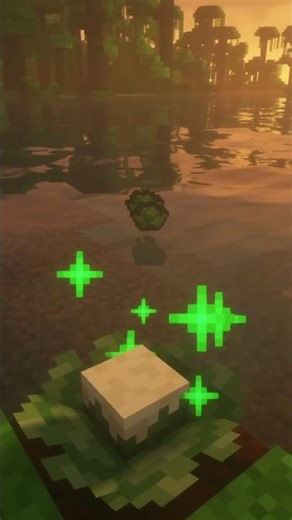 Continuas a plantar trigo no teu mundo de 2011 #caldascraft #minecraft #gamingportugal