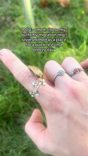 Moth Visits Butterfly Migration Ring by Silversmith