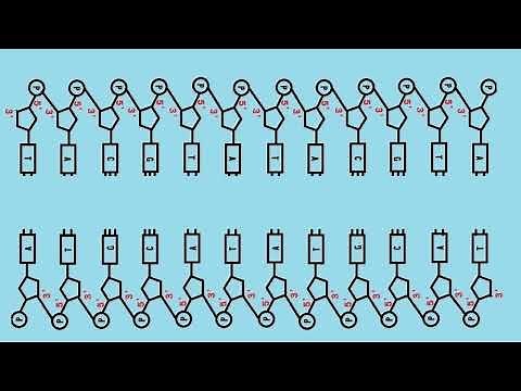 PCR法とは（PCRの原理と実際 詳細版）高校生物実験