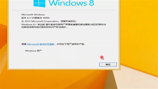 安装Windows8.1