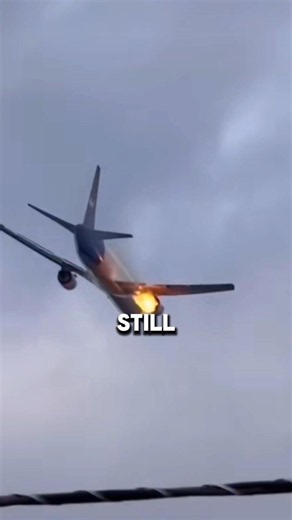 This Jet Engine Is Built to Swallow Birds 🤯🛫