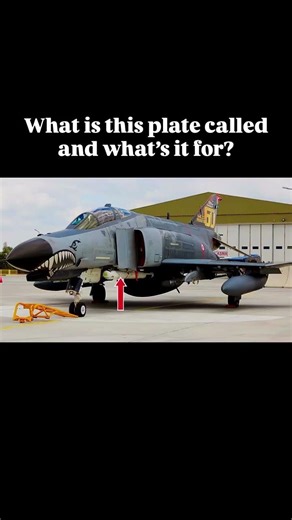 F-4 Phantom. What is this plate for that’s ahead of the air intake? #pilotlife #avgeek