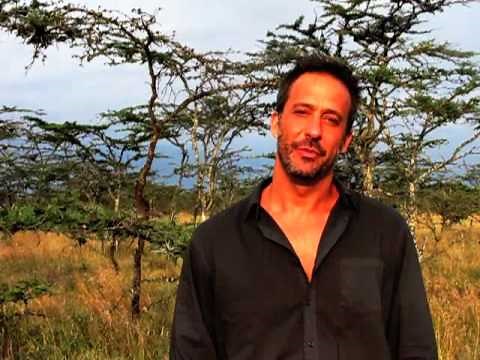 Symbiotic ants defend acacia hosts from elephants