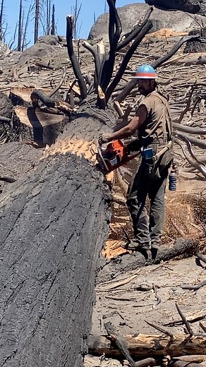 Every trade has got its own set of hand signs, what does this one mean? #jobs #usajobs | Sadie Rose