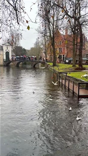 شتى يادنيا☔️ .. فيروز🎶حينما تمتزج رائحه 🌧️الشتاء بصوت فيروز 🤍