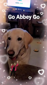 Abbey getting on some dance moves | Let it be Labs