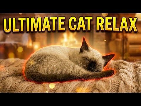10 Hours Relaxing Cat Music For Anxious Or Home Alone Cats | Gentle Comfort Lullaby