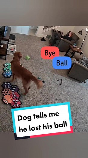 Kodi's Clever Communication: New Word Combinations with His Lost Ball!