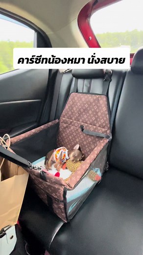 ที่นั่งน้องหมาในรถยนต์ นั่งสบายใจ