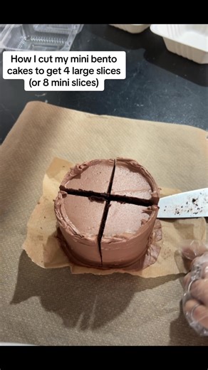 Mini Bento Cakes Cutting Techniques