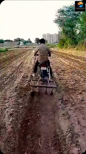 Intelligent Man ll TOT FACTS