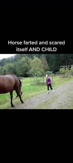 Hilarious Horse Fart Compilation