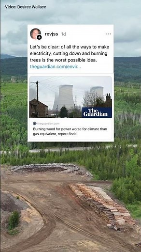 Newsflash: burning forest biomass is not green.